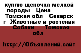 куплю щеночка мелкой породы › Цена ­ 1 000 - Томская обл., Северск г. Животные и растения » Собаки   . Томская обл.